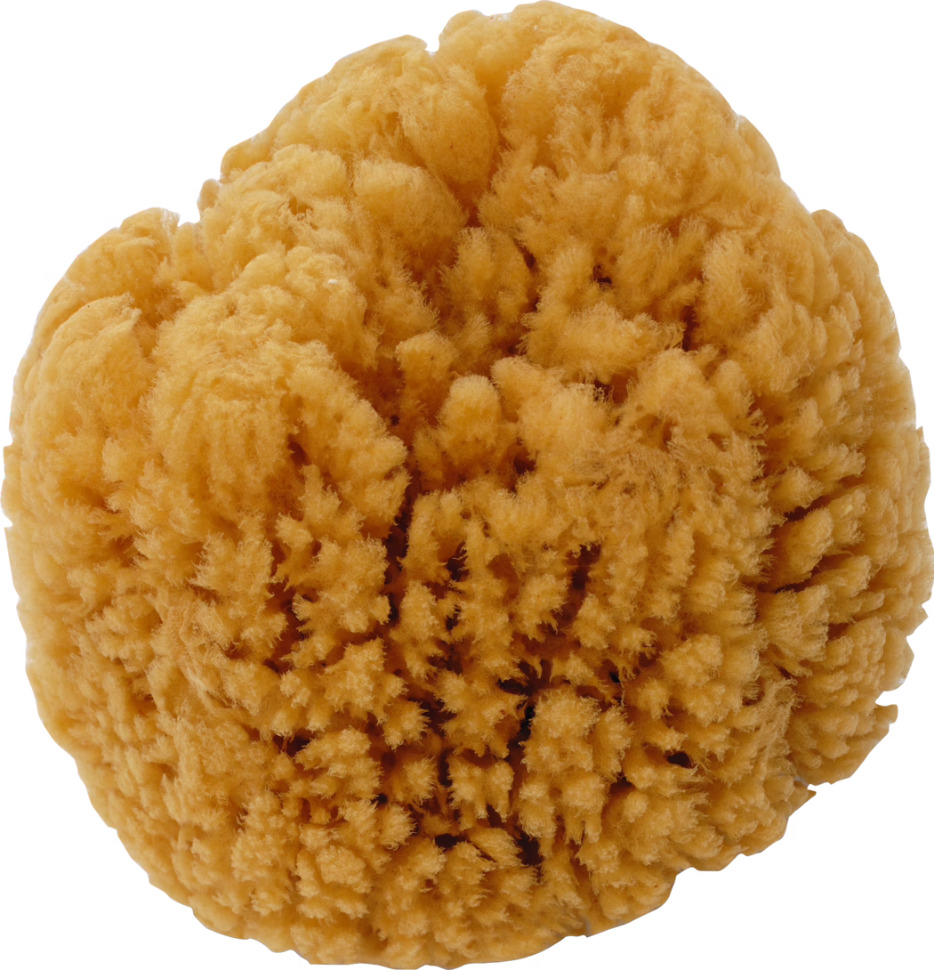 Close-up view of a round, fluffy golden-brown sponge, likely a natural sea sponge, photographed against a plain white background. The surface reveals a dense, branching fibrous texture with numerous small cavities and fine filaments, giving it a plush, cloud-like appearance. Even lighting emphasizes the warm ochre tones and intricate surface details, suggesting its use as a bath or decorative sponge.